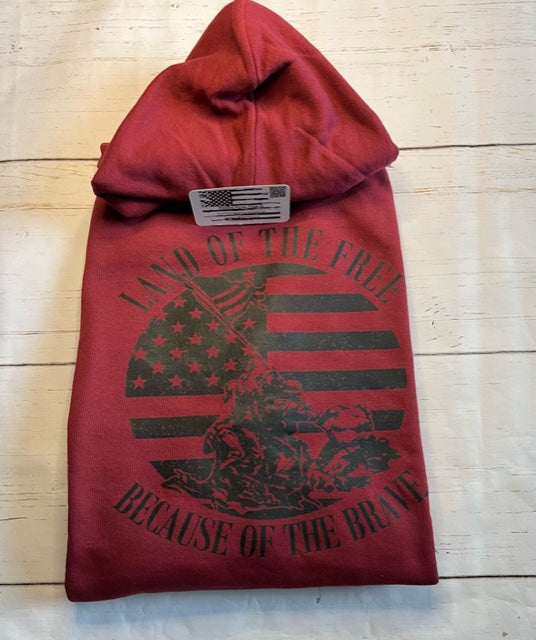 Land of the Free Hoodie